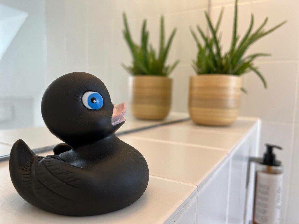 4ba761db 573c 486c ae7c 05e6747b4a8c